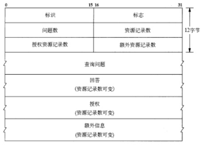 DNS协议分析